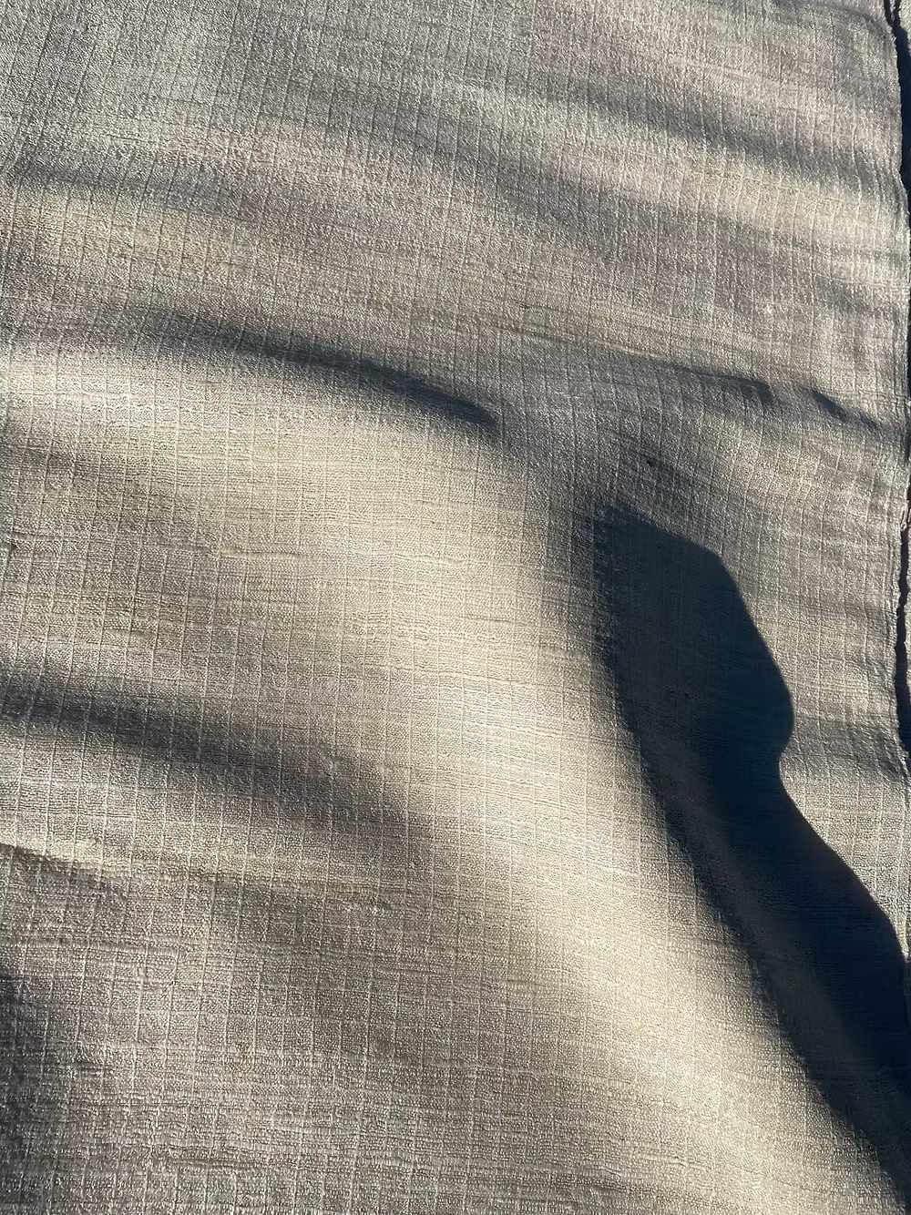 Ivory Basket Weave Silk