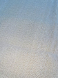 Ivory Tussah Silk