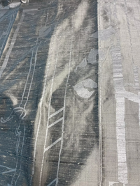 Silver Treillage on Silver Silk Dupioni