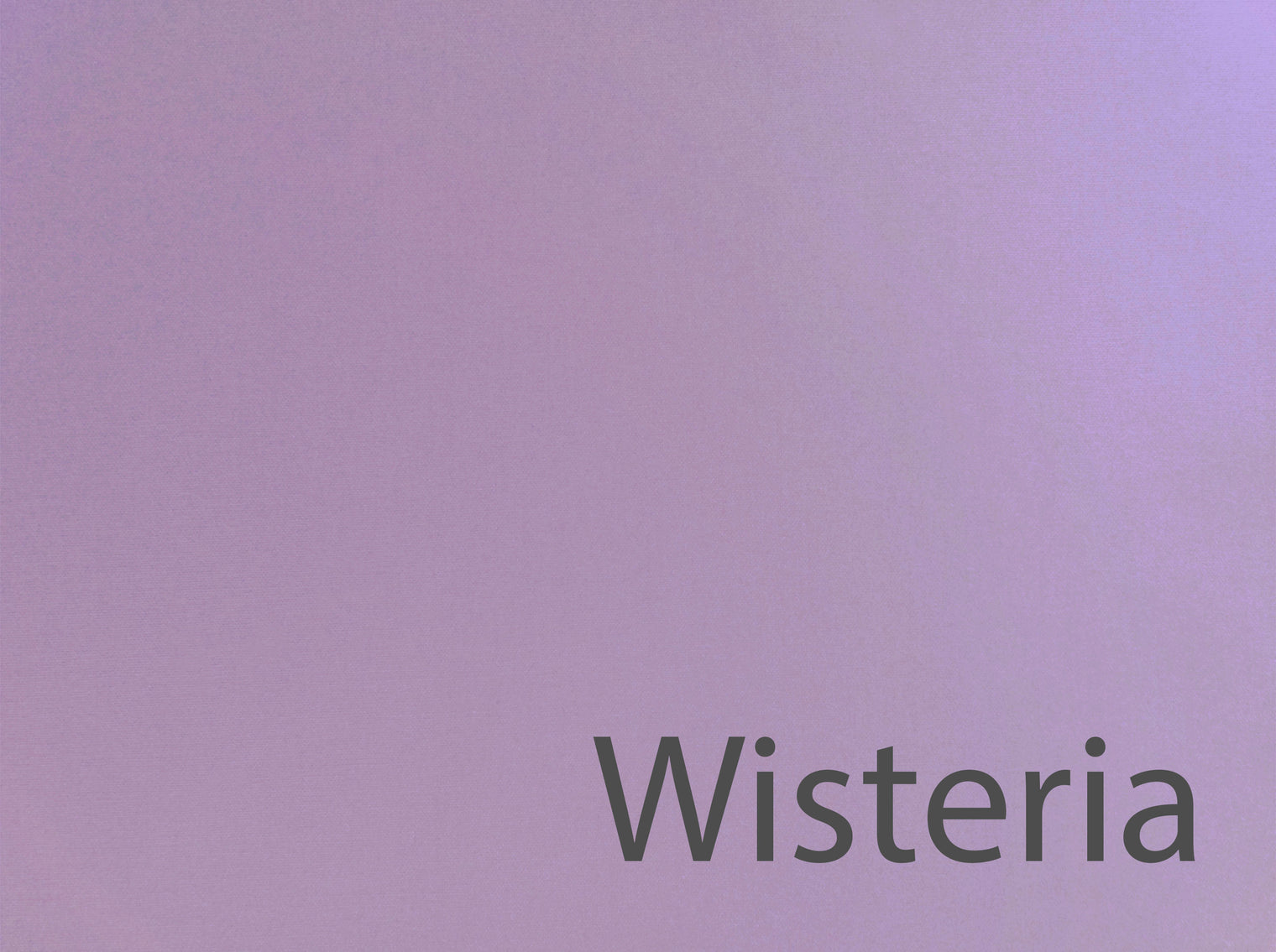 Essentials Percale Pillow Shams