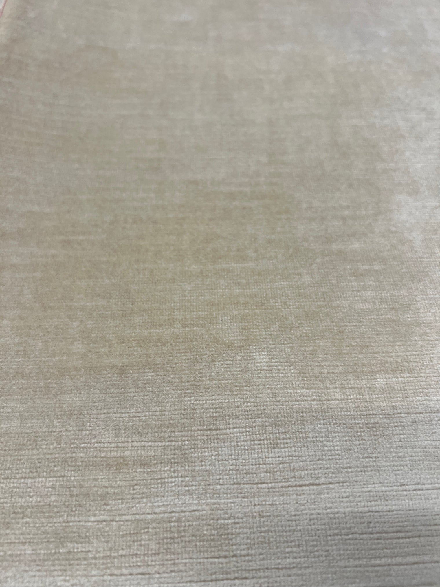 Barbara Beckmann Designs  Magnolia Velvet in Cotton/Viscose